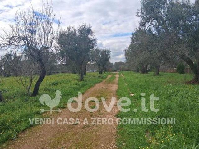 Rustico in vendita a Francavilla Fontana