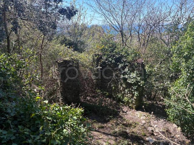 Rustico in vendita a Genova via Alberico Lanfranco, Apparizione