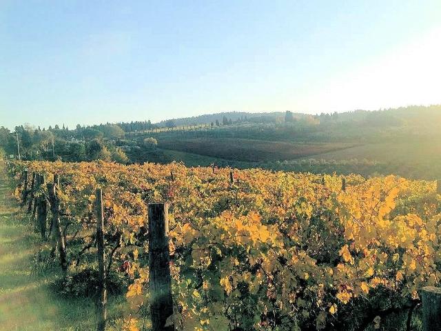 Rustico in vendita a Grosseto
