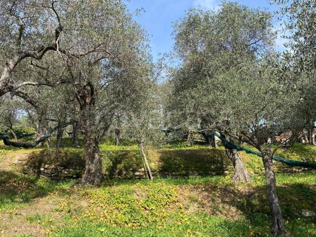 Rustico in vendita a Lavagna via dei Cogorno, 78