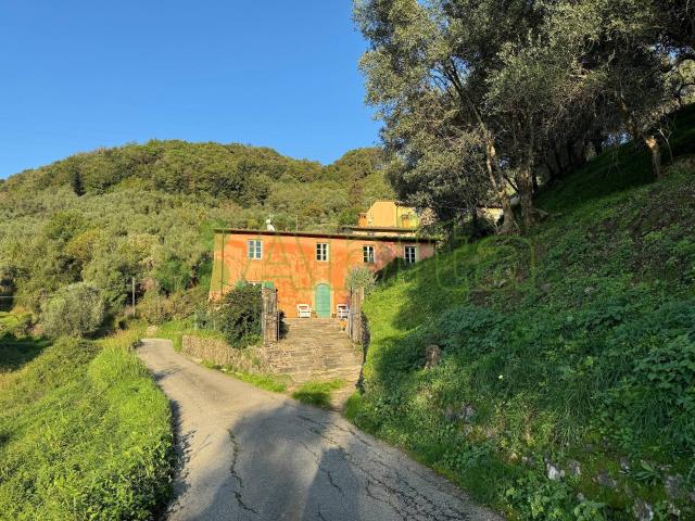 Rustico in vendita a Lucca, Torre