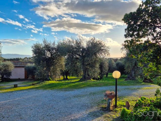 RUSTICO in VENDITA a MAGLIANO IN TOSCANA MONTIANO di 3 vani