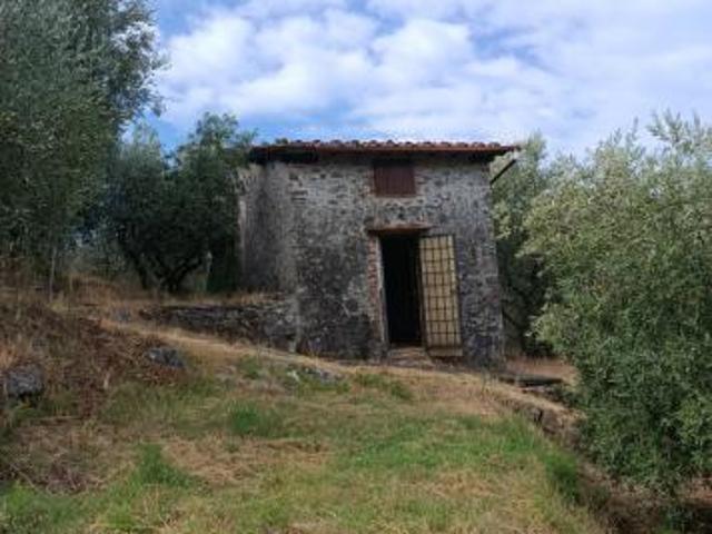 Rustico in vendita a Massarosa