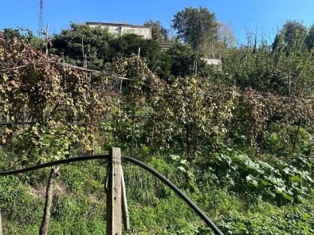 Rustico in vendita a Napoli