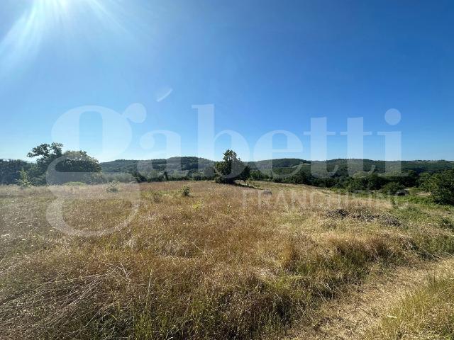 Rustico in vendita a Orte