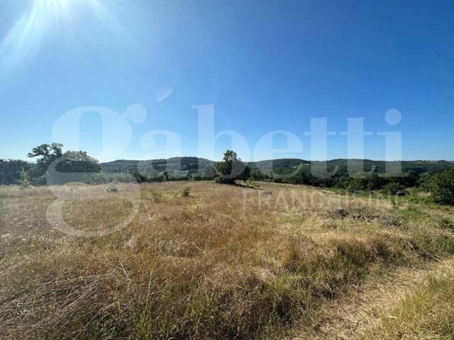 Rustico in vendita a Orte