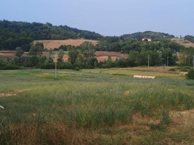 Rustico in vendita a Peccioli