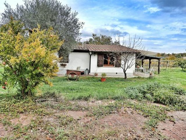 Rustico in vendita a Piancastagnaio