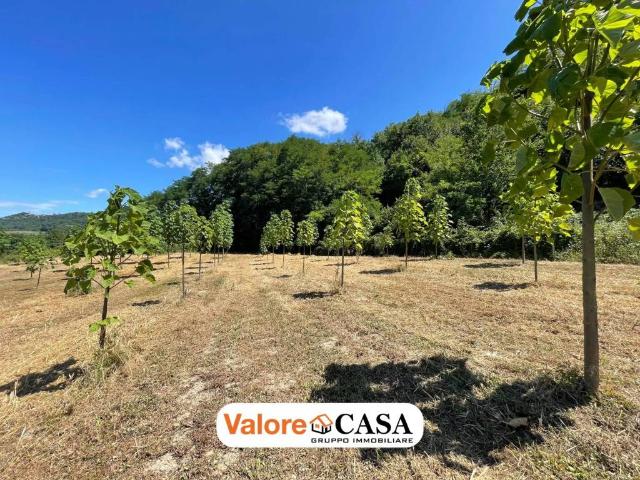 Rustico in vendita a Ponzone