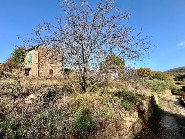 Rustico in vendita a Poli via di Colle Spina