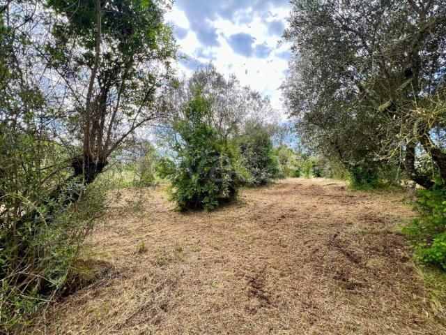 Rustico in vendita a Poli via Ficozzivoli