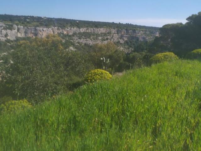 Rustico in vendita a Scicli