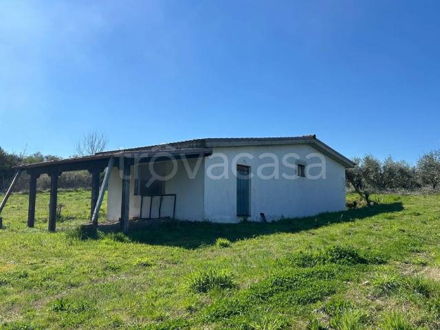 Rustico in vendita a San Cesareo via Verbania, 7