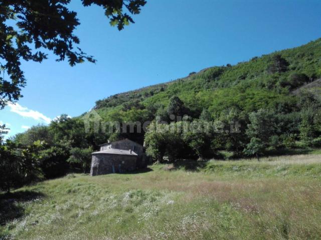 Rustico Località Borgo 114, Neirone