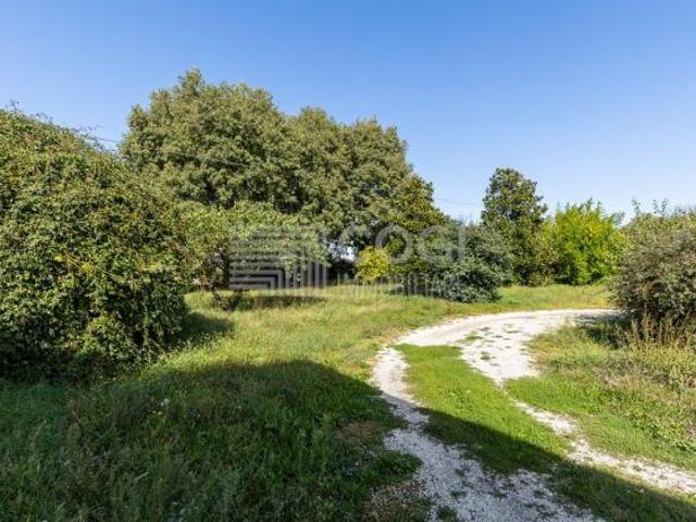 Rustico ristrutturato di ampi spazi con 1.000 mq di giardino