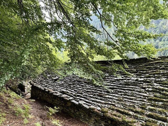 Rustico zum Ausbauen an sehr ruhiger, sonniger Aussichtslage / rustico da ristrutturare molto tranquilla e soleggiata | dreamo. Ch