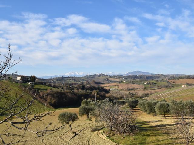 Rustico/Casale in vendita a Monsampolo del Tronto, Monsampolo