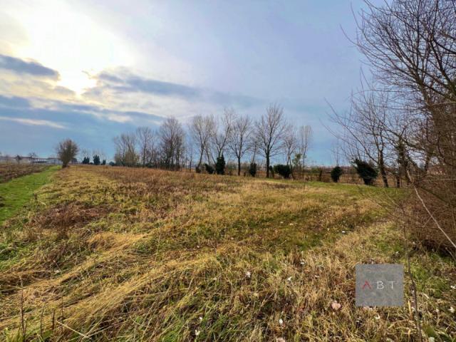Rustico/Casale in Vendita a San Giorgio in Bosco