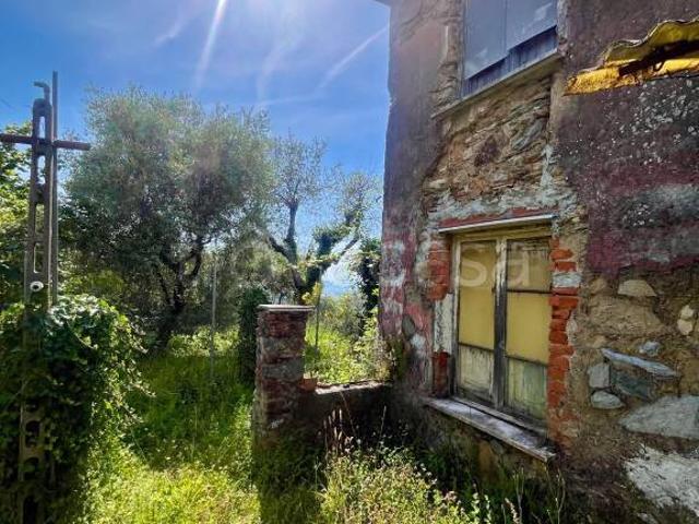 Rustico/casale/corte in vendita a Massa, San Carlo Antona
