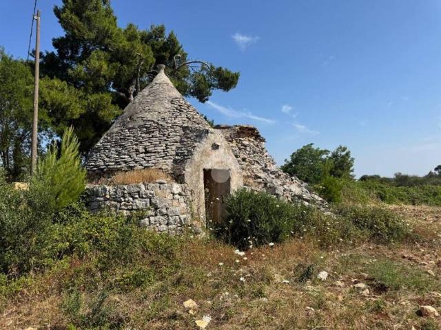 Rustico/casale/corte in vendita a Martina Franca