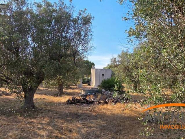 Rustico/casale/corte in vendita a Matino