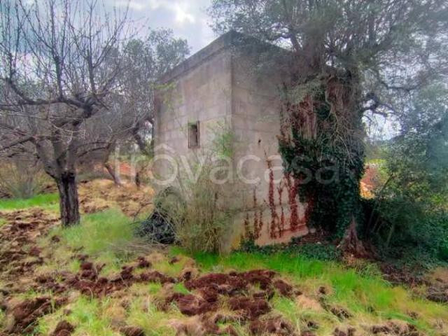 Rustico/casale/corte in vendita a Monopoli