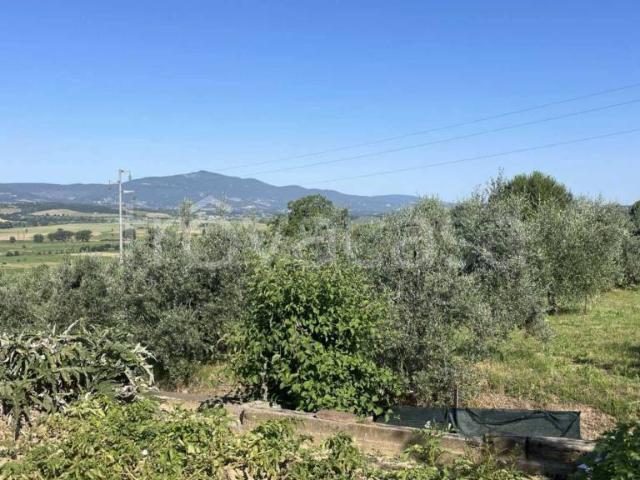 Rustico/casale/corte in vendita a Monteleone d'Orvieto