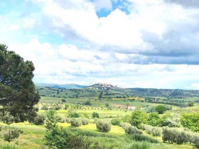 Rustico/casale/corte in vendita a Montiano, Magliano in Toscana