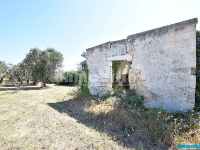 Rustico/casale/corte in vendita a Oria