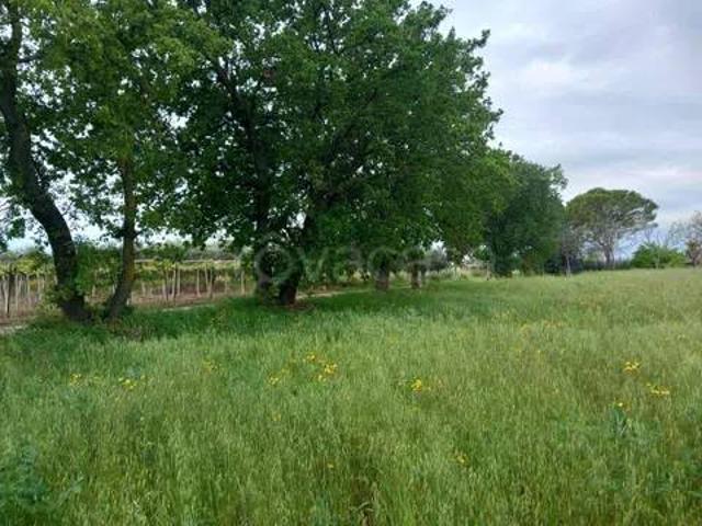 Rustico/casale/corte in vendita a Ortona