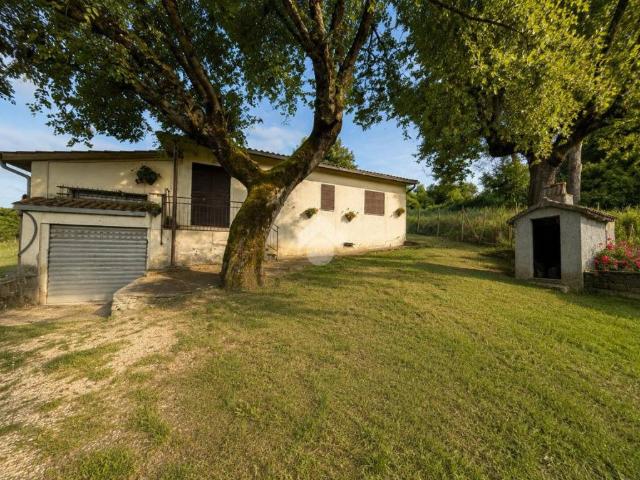 Rustico/casale/corte in vendita a Bassano in Teverina