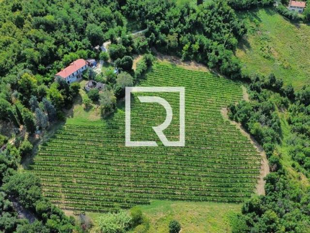Rustico/casale/corte in vendita a Bertinoro via Loreta, 3890, Fratta Terme