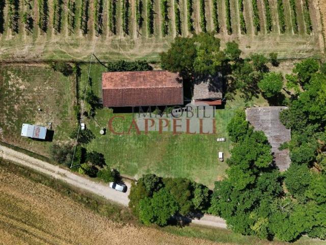 Rustico/casale/corte in vendita a Bertinoro via Roncucci