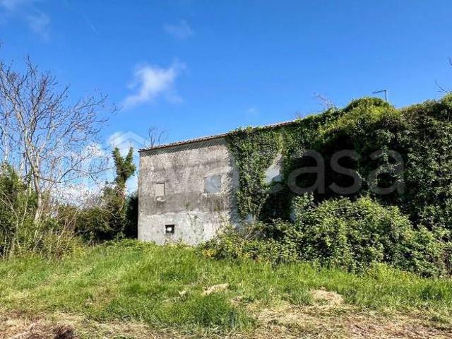 Rustico/casale/corte in vendita a Camerano