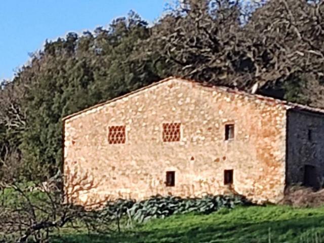 Rustico/casale/corte in vendita a Casole d'Elsa