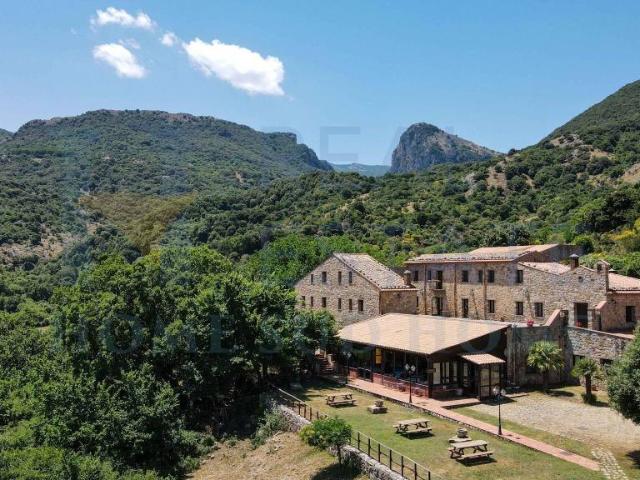 Rustico/casale/corte in vendita a Castelbuono