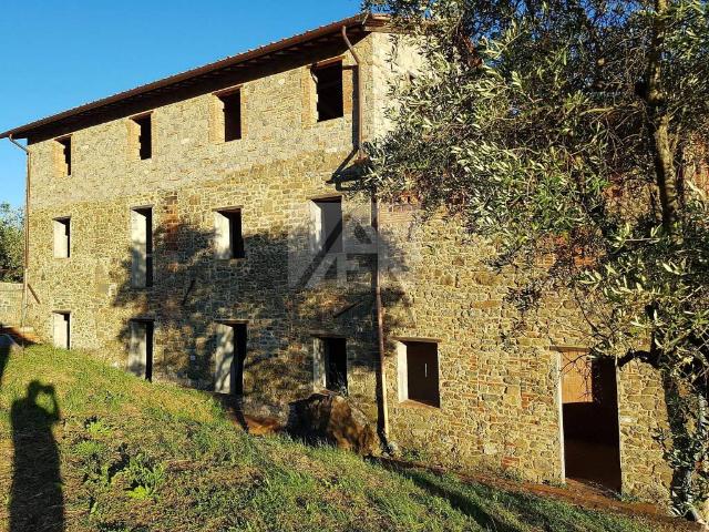 Rustico/casale/corte in vendita a Capannori via delle Tese, Matraia Valgiano