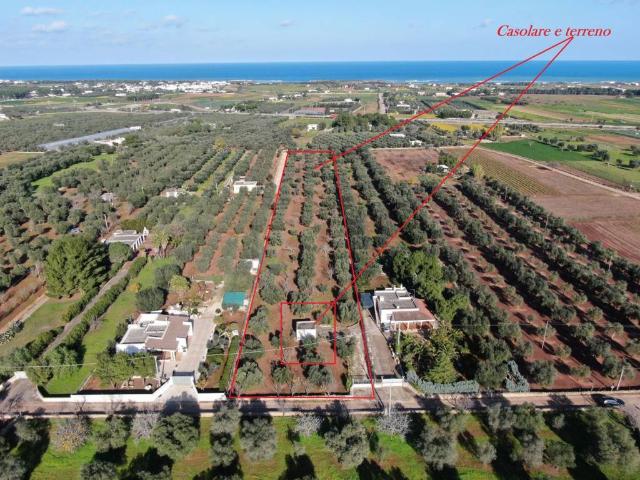 Rustico/casale/corte in vendita a Carovigno