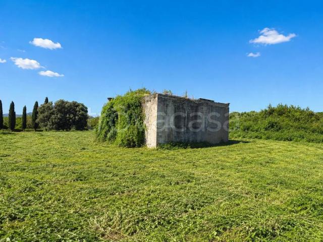 Rustico/casale/corte in vendita a Cerveteri
