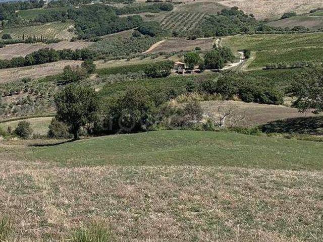 Rustico/casale/corte in vendita a Cinigiano