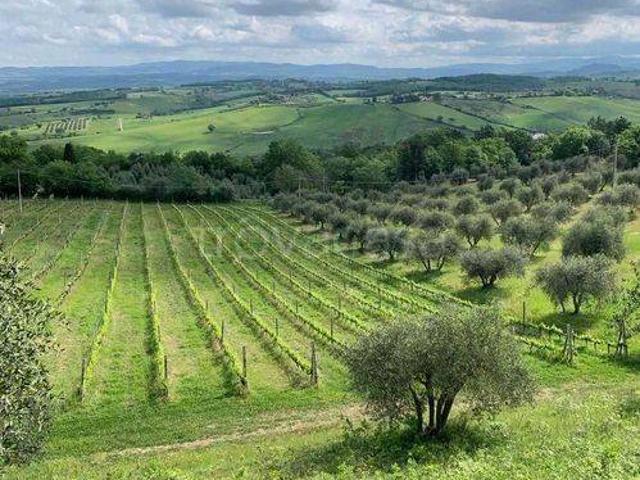 Rustico/casale/corte in vendita a Cinigiano