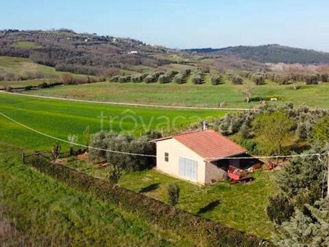 Rustico/casale/corte in vendita a Cinigiano