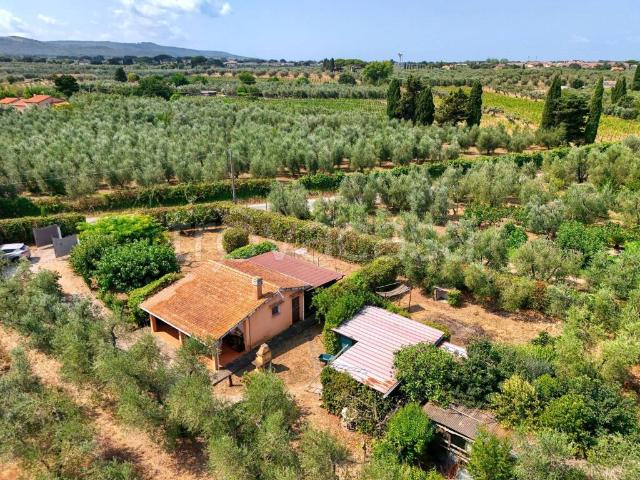Rustico/casale/corte in vendita a Donoratico, Castagneto Carducci