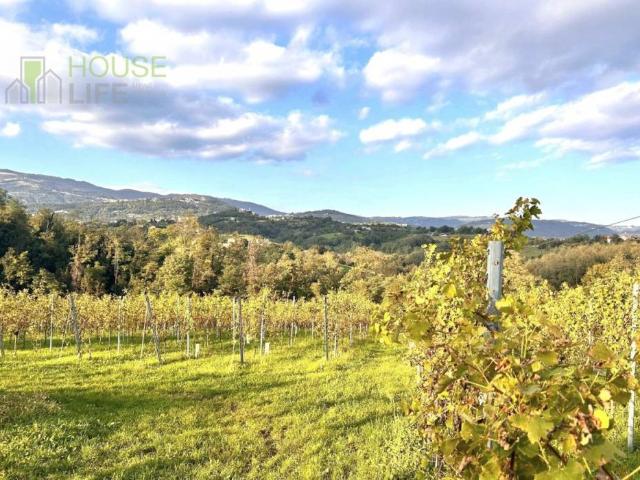 Rustico/casale/corte in vendita a Fara Vicentino