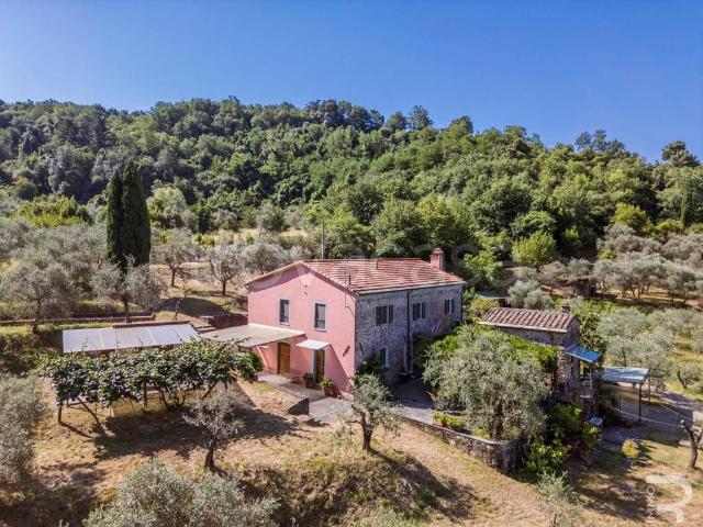 Rustico/casale/corte in vendita a Fosdinovo