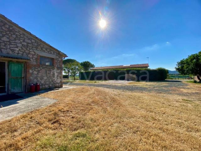 Rustico/casale/corte in vendita a Grosseto, Braccagni