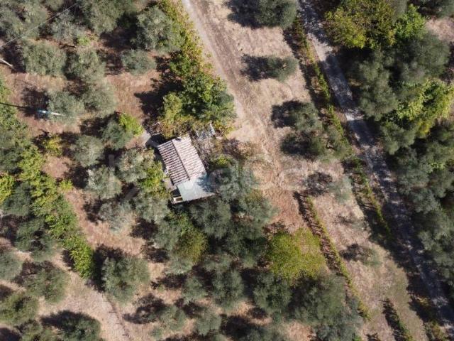 Rustico/casale/corte in vendita a Porchiano, Amelia