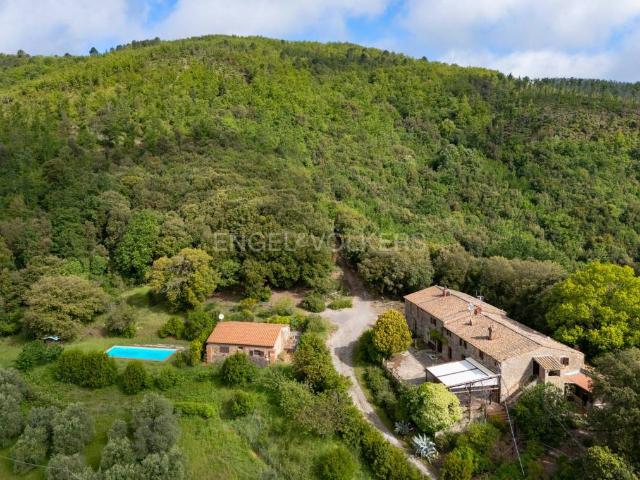 Rustico/casale/corte in vendita a Roccastrada strada Provinciale Meleta