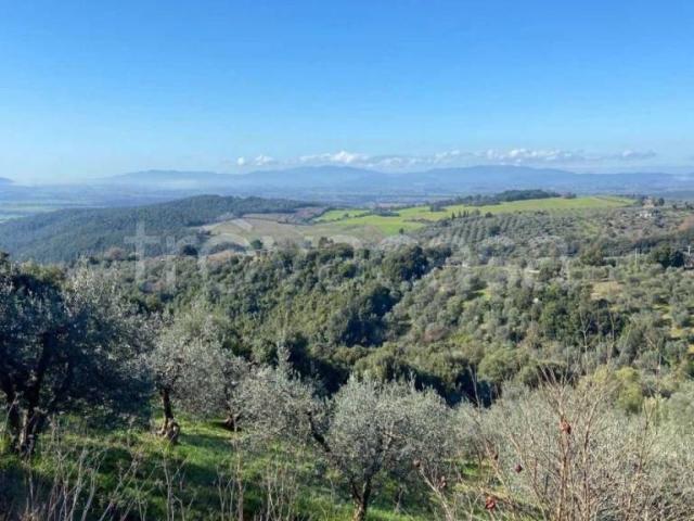 Rustico/casale/corte in vendita a Roccastrada