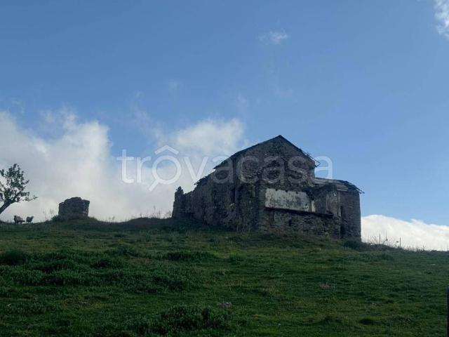 Rustico/casale/corte in vendita a Stella